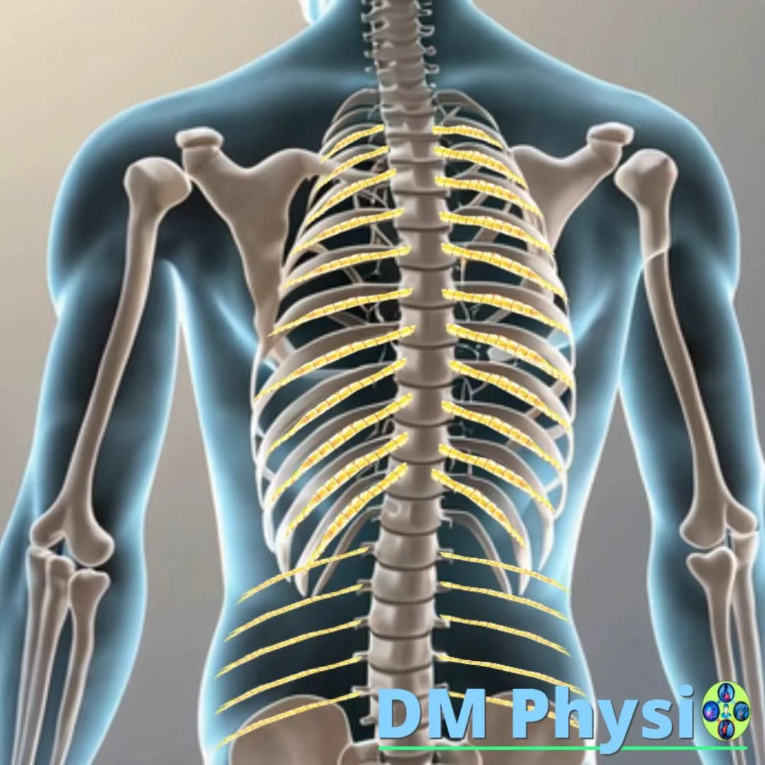 Невралгия на гърба - визуализация